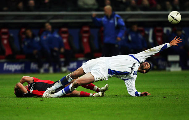 与名誉主席 与名誉主席