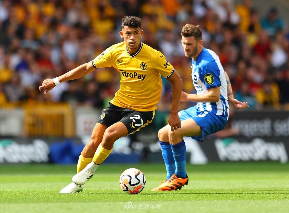 黄蜂队在比 黄蜂队在比